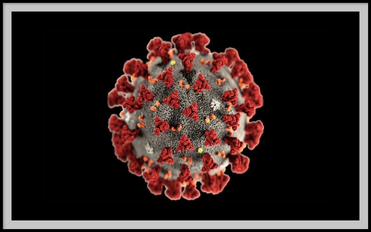 Covid-19 Update: कोरोना ने फिर बढ़ाई चिंता, इन राज्यों में मिले सबसे ज्यादा मामले, एक्टिव केस 10 हजार के पार