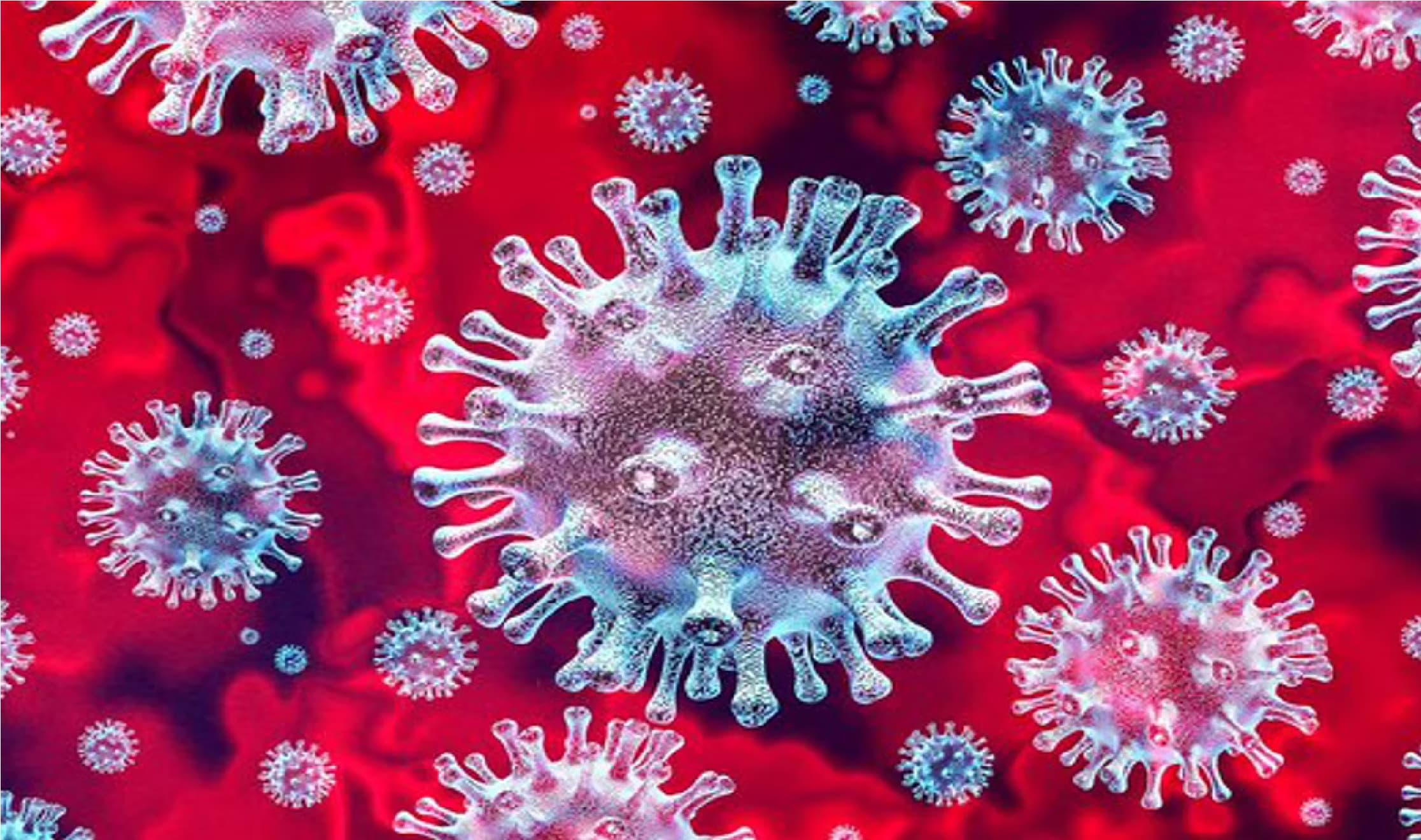 दिल्ली में लगातार तीसरे दिन कोविड-19 के 800 से ज्यादा नये मामले, सात लोगों की मौत