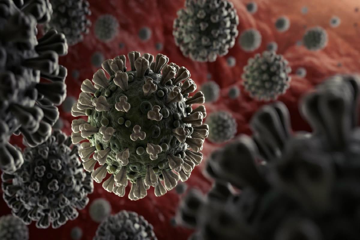 Coronavirus Updates: देश में पिछले 24 घंटे में कोरोना के 19,893 नये मिले, 53 लोगों की मौत