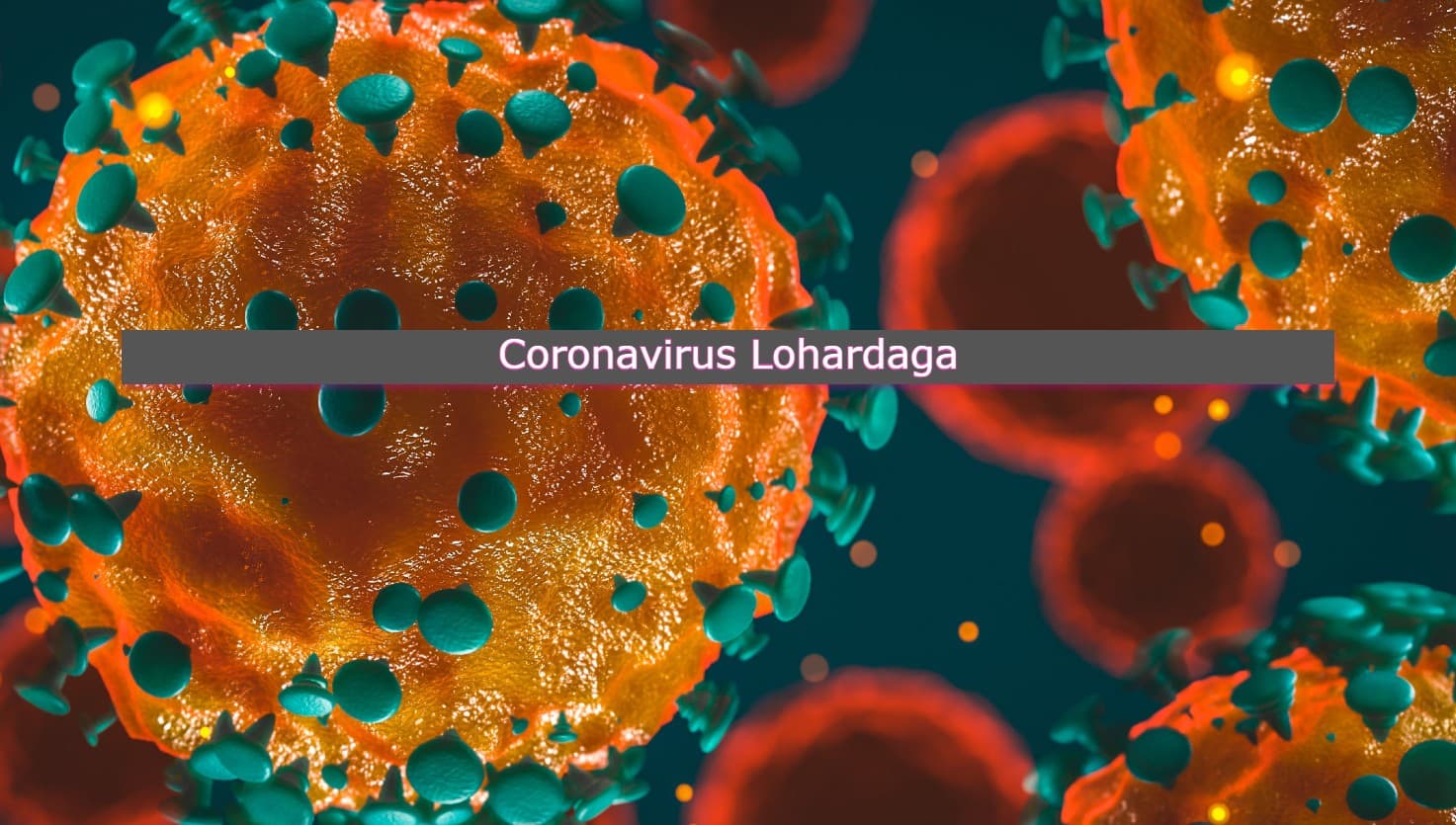 रिम्स ने लौटाया, सदर अस्पताल में भी नहीं मिला वेंटिलेटर और चली गयी लोहरदगा एसएम की जान