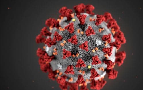 UP Corona News: कोरोना से जंग हारी महिला पुलिसकर्मी, 4 दिन पहले ही बच्चे को दिया था जन्म