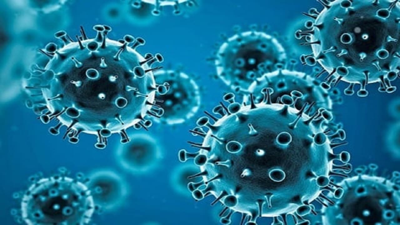 Coronavirus Updates: दिल्ली में कई हफ्तों बाद कोविड के 2000 से अधिक नए मामले, महाराष्ट्र में 7 की मौत
