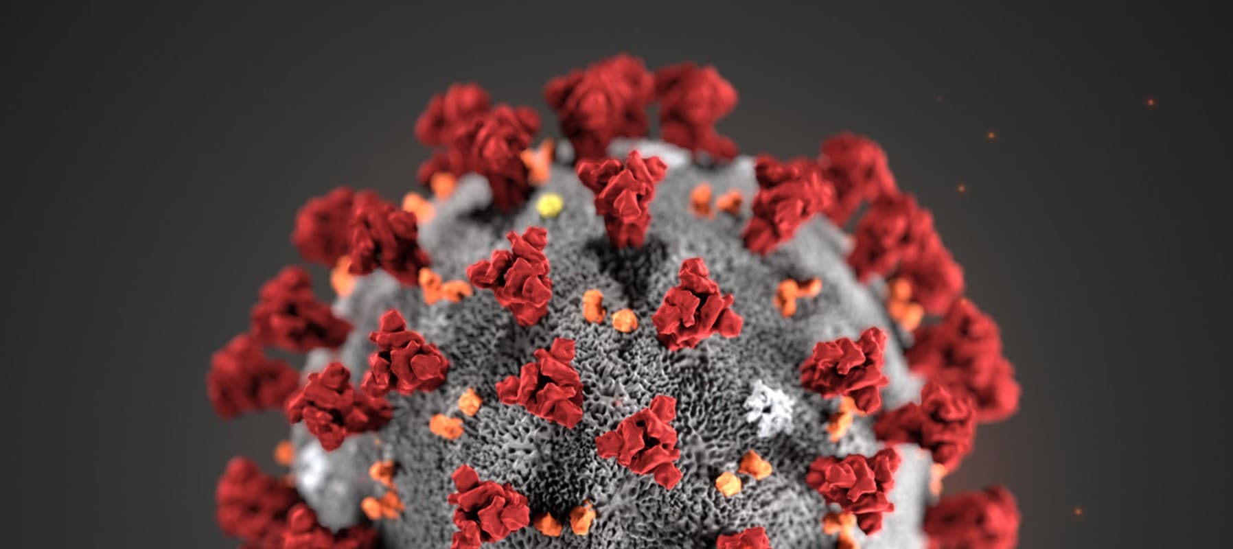 रेड जोन से लौटे व्यक्ति की नाई ने बनाई दाढ़ी, दोनों निकले कोरोना पॉजिटिव, 70 लोगों ने बनवाई थी हजामत