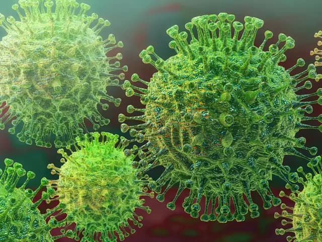 Coronavirus Alert: टिकटॉक पर वायरल कोरोना के इलाज ने 11 लोगों को पहुंचाया अस्पताल