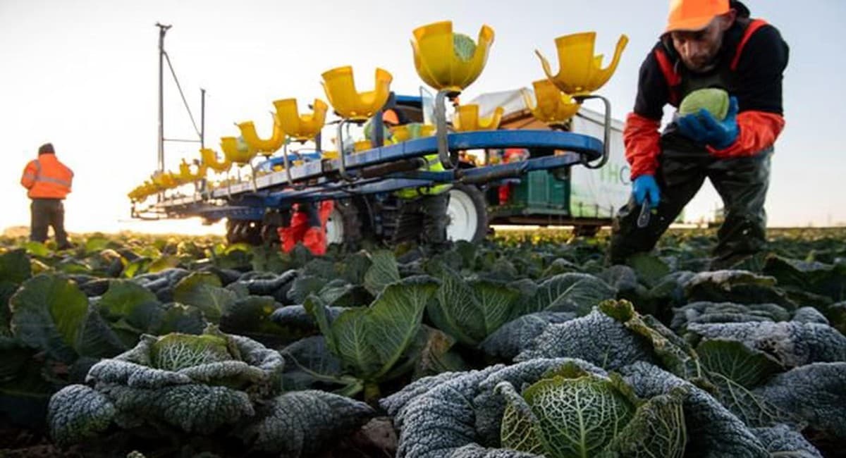 Aaj Ka Rashifal, 17 अगस्त  2022: मेष, कन्या, धनु समेत इन राशियों के बदलेंगे सितारे, जानें आज का राशिफल