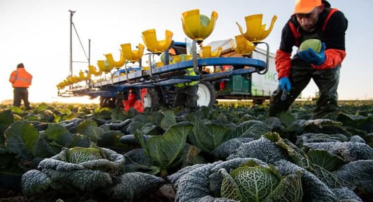 Aaj Ka Rashifal, 17 अगस्त 2022: मेष, कन्या, धनु समेत इन राशियों के बदलेंगे सितारे, जानें आज का राशिफल