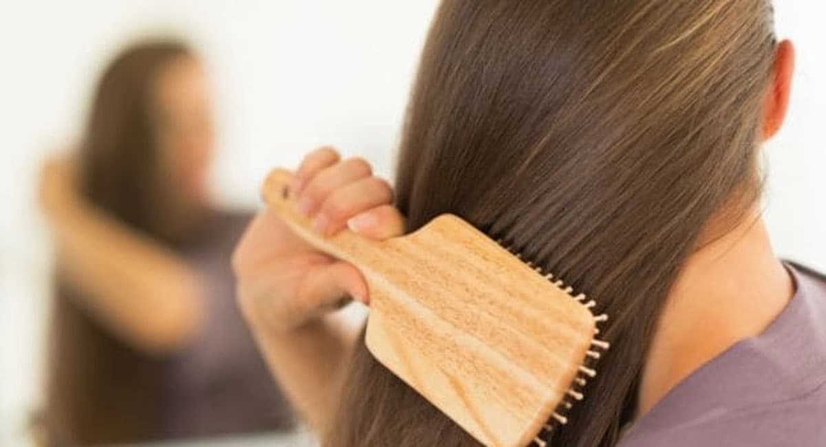 Prevent Hair Fall: बालों के झड़ने से हैं परेशान हैं तो अपने डाइट में ये करें शामिल Prevent Hair Fall: बालों के झड़ने से हैं परेशान हैं तो अपने डाइट में ये करें शामिल