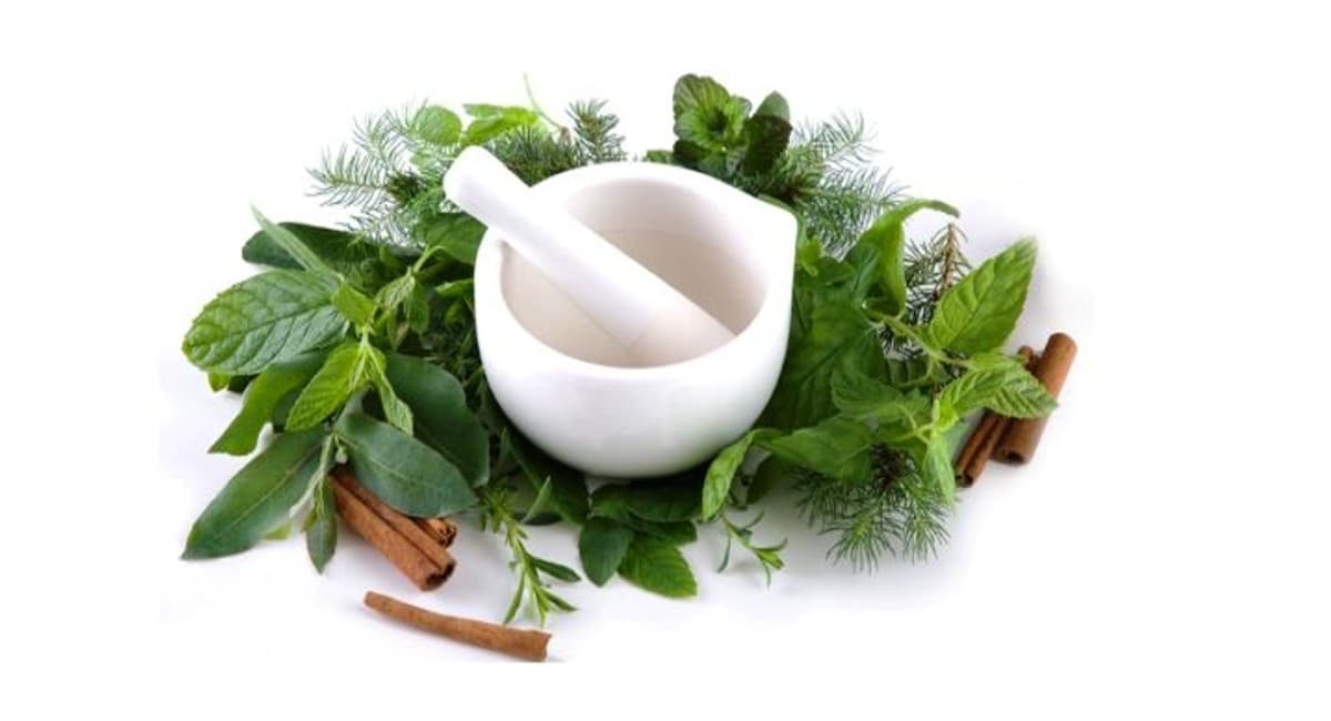 Diabetes के रोगी करें इन हर्ब्स और मसालों का सेवन, ऐसे मिलेगा हेल्थ को फायदा