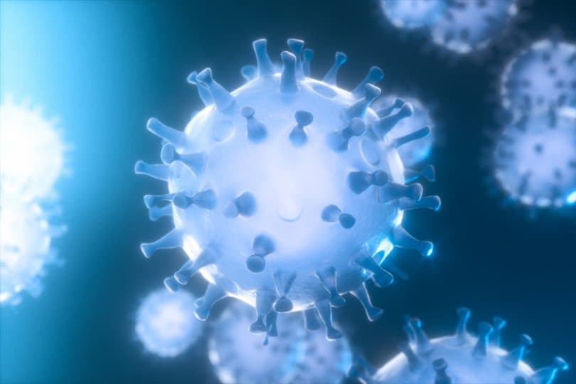 भारत में दम तोड़ने लगा CORONAVIRUS, lockdown की सख्ती आ रही है काम, समझिये एक्सपर्ट के इन ग्राफिक्स से