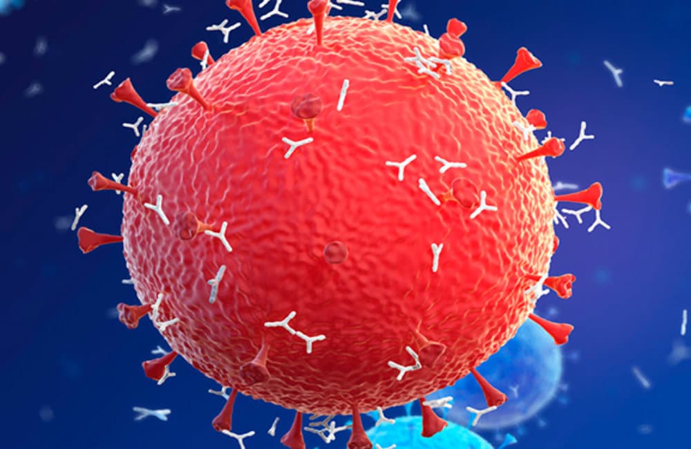 ...तो क्या पुणे के आधे से अधिक लोग हो चुके हैं कोरोना पॉजिटिव‍? सीरो सर्वे में 51.5% में मिला एंटीबॉडी