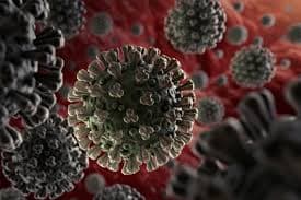 क्या है भीलवाड़ा मॉडल, जिसे Covid19 से निबटने के लिए पूरे देश में लागू करने की हो रही तैयारी