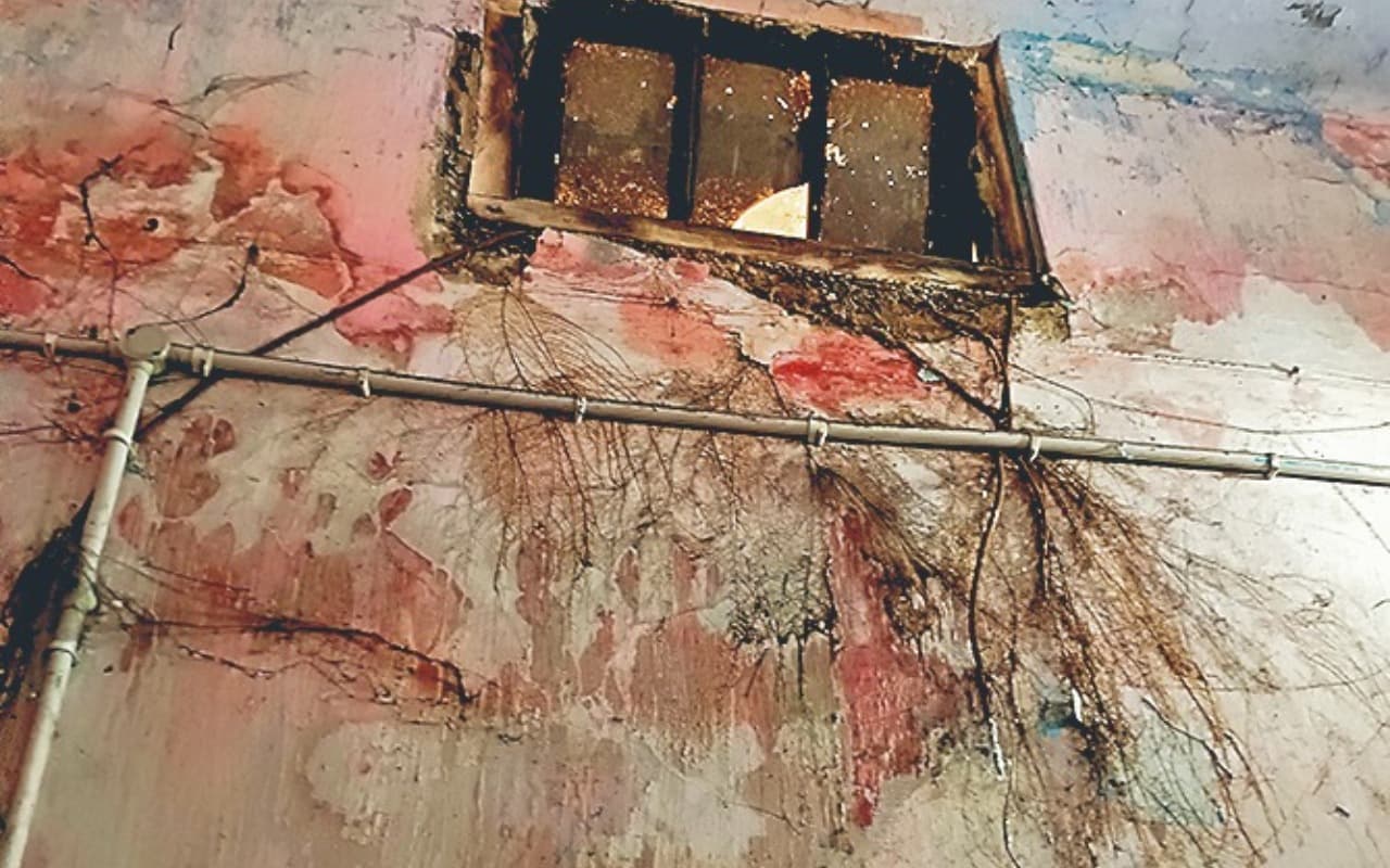 धनबाद : अरबों का सालाना ट्रांजेक्शन वाला विभाग आदेशपाल के भरोसे, ऑफिस में उग आये हैं पेड़