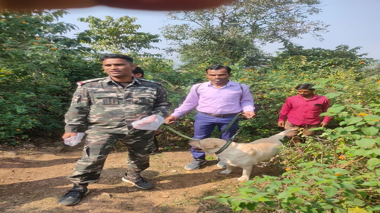Jharkhand News : गैंगरेप के बाद युवती की हत्या, जंगल से शव बरामद, डॉग स्क्वायड की टीम भी पहुंची Jharkhand News : गैंगरेप के बाद युवती की हत्या, जंगल से शव बरामद, डॉग स्क्वायड की टीम भी पहुंची