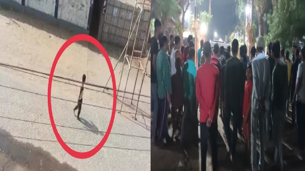 बिहार: सहरसा में दबिये से हमले के बाद अब मुंगेर में राहगीरों पर पथराव, नहीं थम रहा सिरफिरों का आतंक