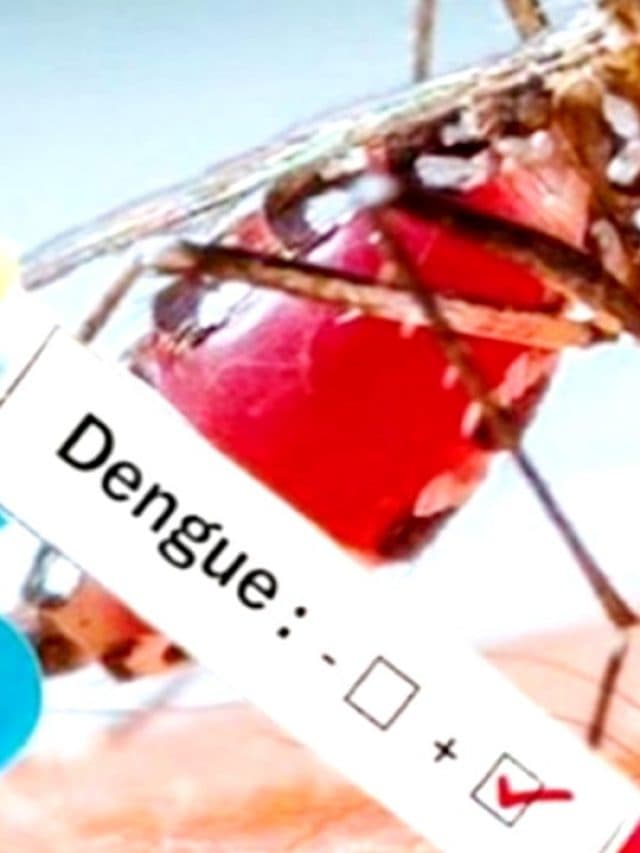 Dengue फीवर से गिर गया है प्लेटलेट्स तो खाएं ये चीजें