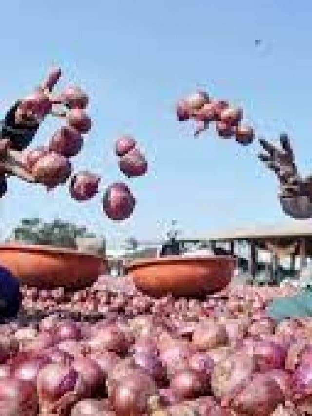 Health Tips: प्याज खाने के 6 अद्भुत फायदे