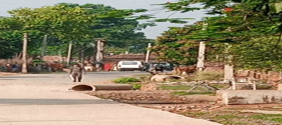 चार साल का बच्चा समेत छह नये कोरोना संक्रमित, जांच रिपोर्ट आने से पूर्व ही कोरेंटिन सेंटर से भेज दिये गये थे घर