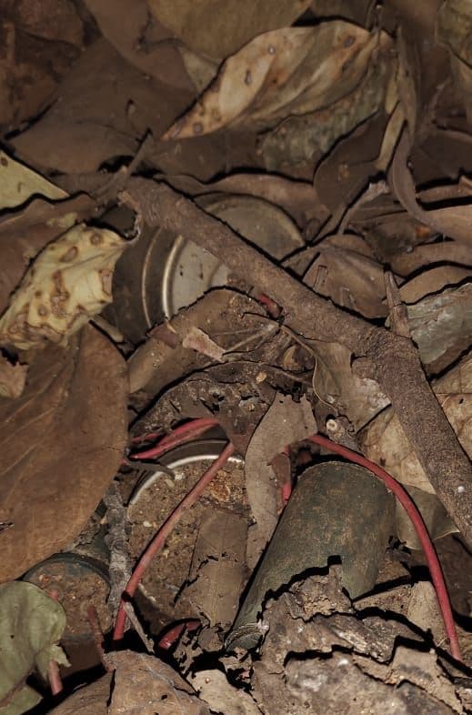 Jharkhand Naxal News : झारखंड में नक्सलियों की बड़ी साजिश नाकाम, बाल-बाल बची चतरा पुलिस, बरामद लैंड माइंस किये गये डिफ्यूज