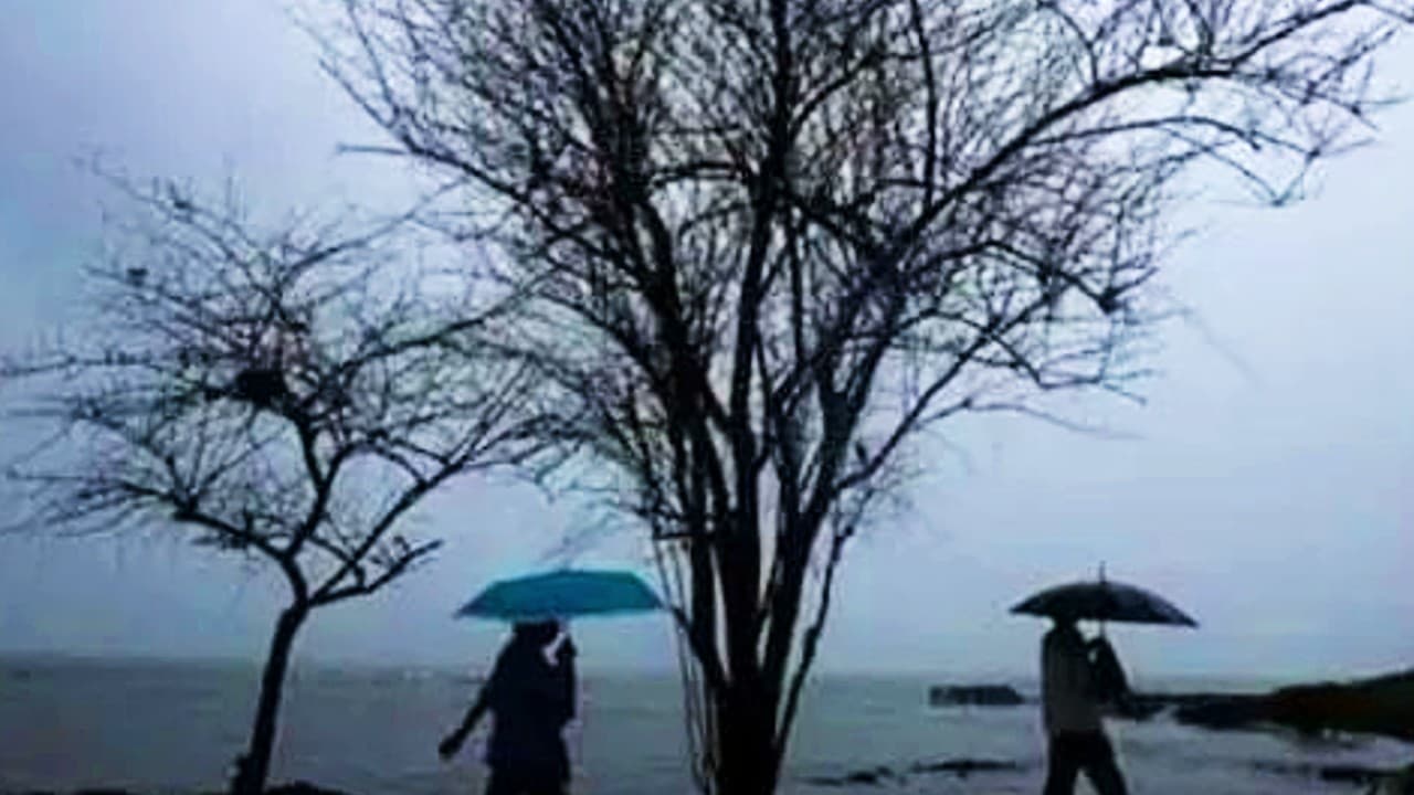 Cyclone Asani: चक्रवात ‘आसनी’ के कारण अंडमान के कुछ हिस्सों में बारिश, तेज हवाएं, सभी स्कूल-कॉलेज बंद