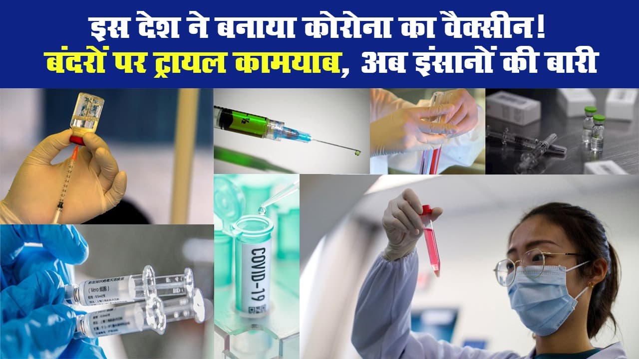 Corona Vacccine: इस देश ने बनाया कोरोना का वैक्सीन! बंदरों पर ट्रायल कामयाब, अब इंसानों की बारी