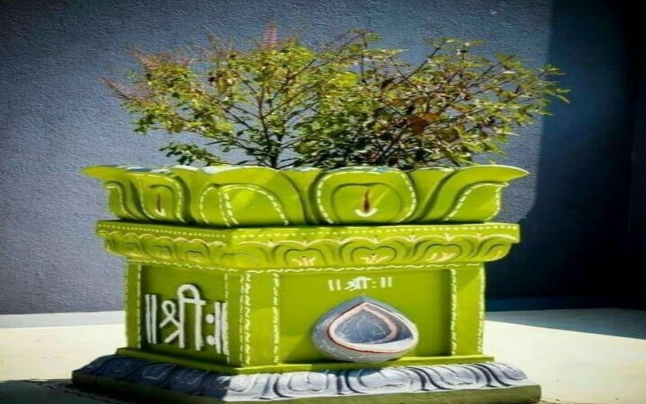 Tulsi Vastu Tips: तुलसी के सूखे पौधे घर में रखना अशुभ, हो सकते हैं कंगाल जानिए कैसे  घर आएगी लक्ष्मी