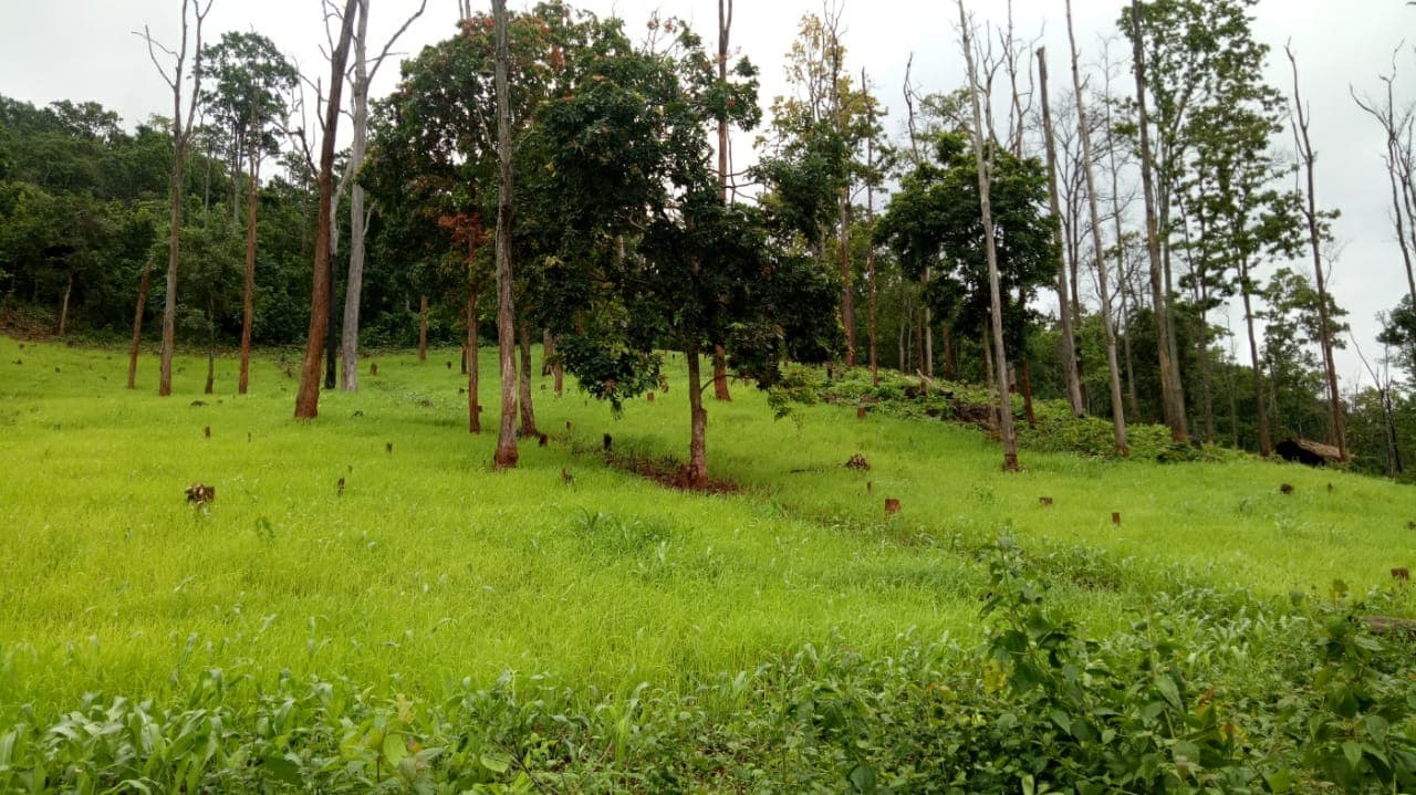 वनाधिकार में ग्रामीण सहभागिता