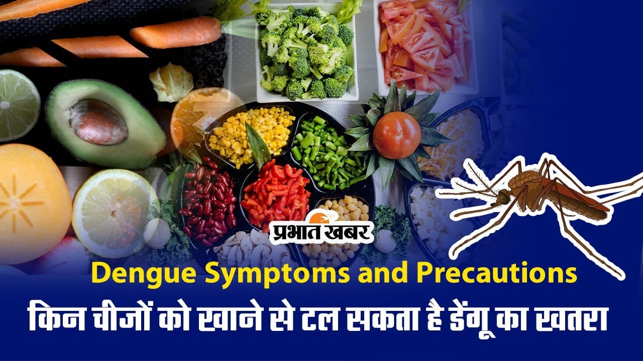 Dengue Symptoms and Precautions: किन चीजों को खाने से टल सकता है डेंगू का खतरा, देखें वीडियो