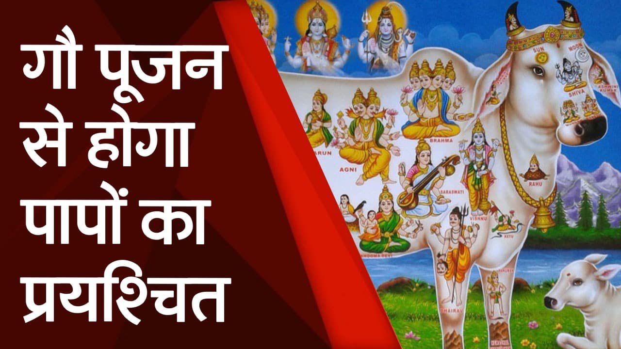 कामधेनु पूजा की शास्त्रों में है विशेष महत्व, कोई घोर पाप हो तो इस दिन के गौ पूजन से हो जाएगा प्रायश्चित