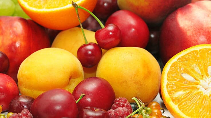 Dengue: डेंगू में तेजी से रिकवरी के लिए ले लिक्विड डाइट, प्लेटलेट्स बढ़ाने के लिए फॉलो करें ये टिप्स