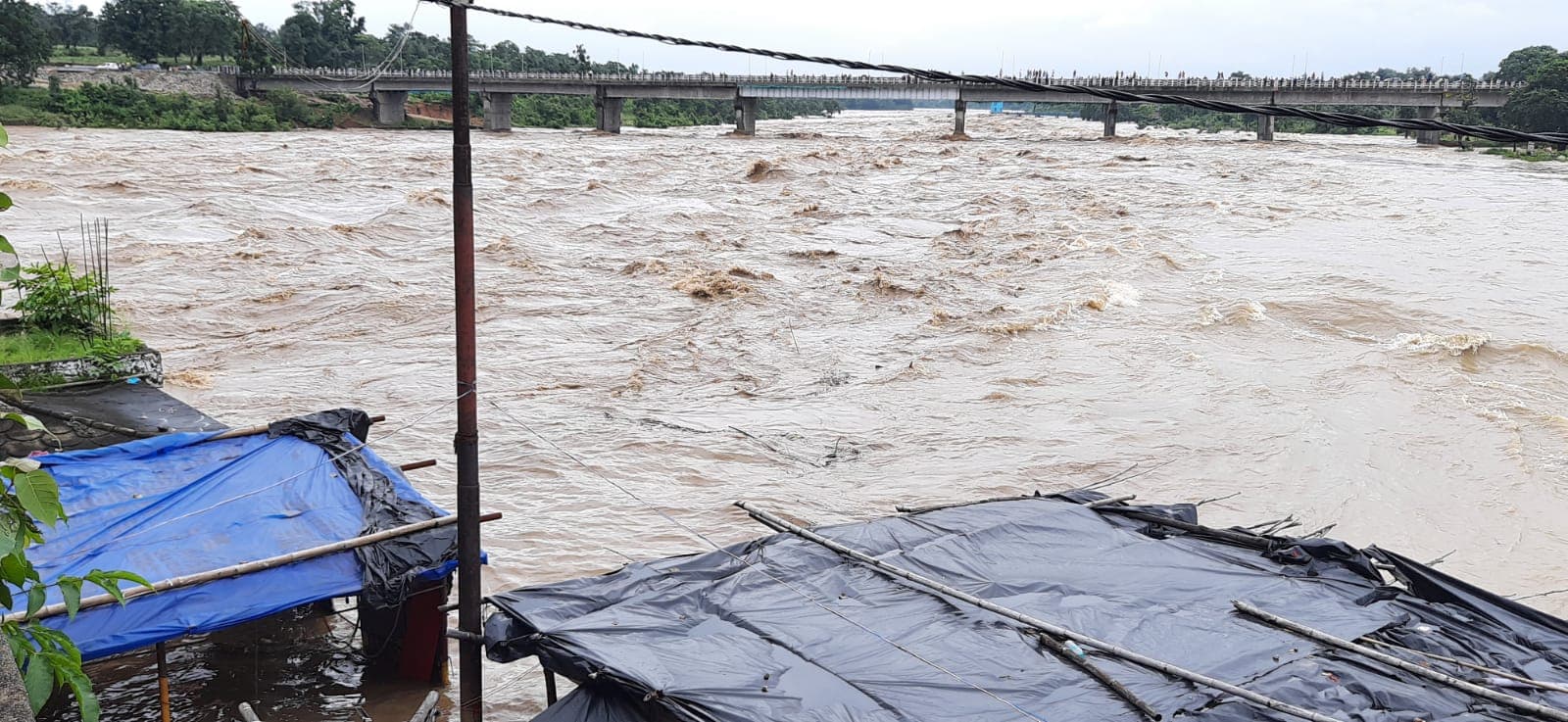 बिहार: कोसी नदी ने लिया रौद्र रूप, दरभंगा में कई गांव का सड़क से संपर्क भंग, दहशत में ग्रामीण
