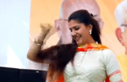 सपना चौधरी ने ग्रीन सूट में किया जबरदस्त डांस, सोशल मीडिया पर VIDEO वायरल