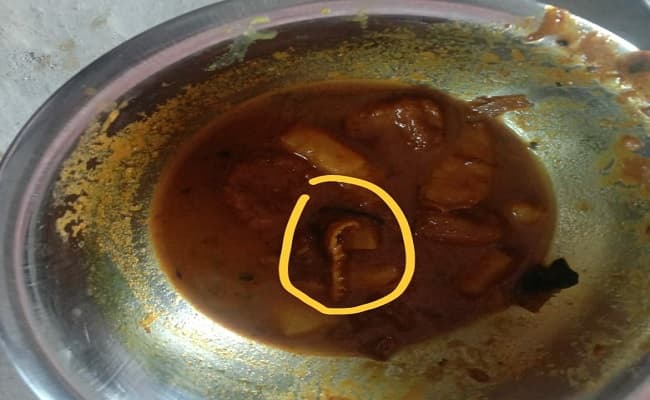 कोरेंटिन सेंटर में प्रवासियों के लिए तैयार भोजन से निकला मरा हुआ बिच्छू, हंगामा