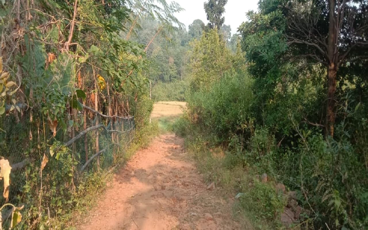 जयंती विशेष : भारत-पाक युद्ध में शहीद डेविड तिग्गा अलबर्ट एक्का की थे परछाई, आज ढूंढे नहीं मिलती तस्वीर