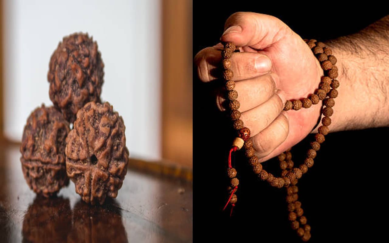 Benefits of Rudraksha: 1, 2, 4 और 7 मुखी रुद्राक्ष पहनने के फायदे, किन लोगों के लिए कैसे रुद्राक्ष है शुभ