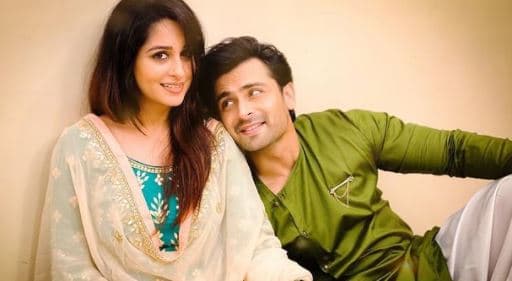 दीपिका कक्कड़ से ससुराल वालों ने किया नौकरानी सा बर्ताव? ये सुनकर भड़की एक्ट्रेस, ट्रोलर्स की लगाई जमकर क्लास