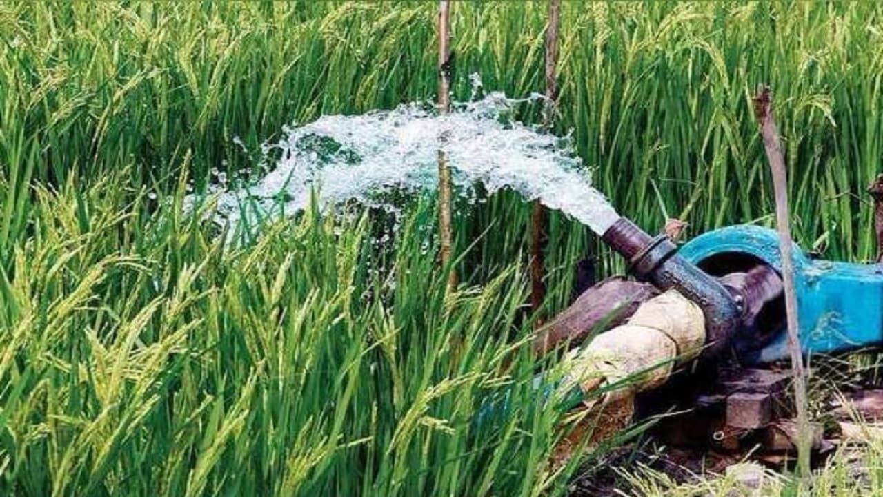 Bihar: डीजल अनुदान के सत्यापन में ये जिला फिस्ड्डी, किसान हो रहे परेशान, जाने कब और कैसे मिलेगा आपका पैसा