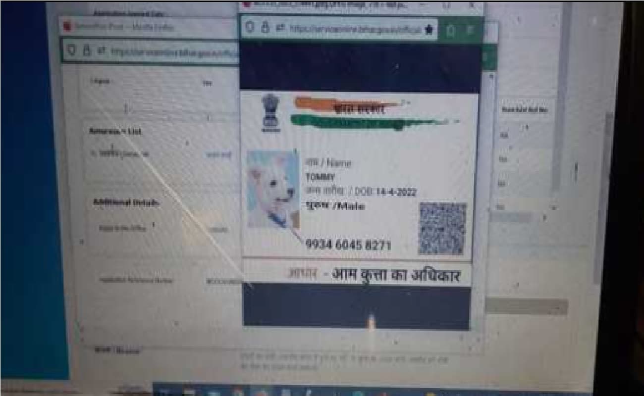 गया में कुत्ते को चाहिए Caste Certificate, टॉमी ने आधार कार्ड के साथ किया आवेदन, पिता शेरू, तो मां गिन्नी
