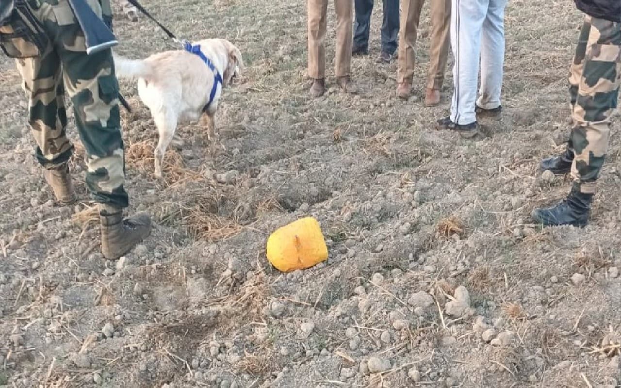 पंजाब के फाजिल्का में फिर आया पाकिस्तानी ड्रोन, हेरोइन की खेप बरामद, एक शख्स गिरफ्तार