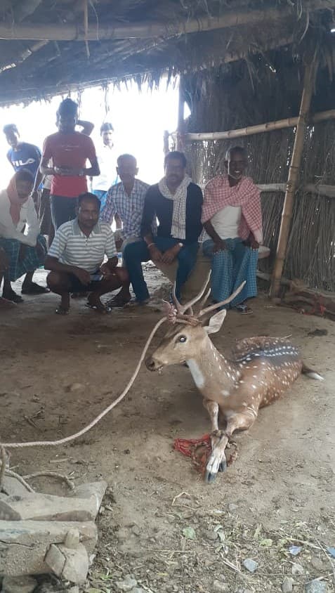 कुँआ में गिरी हिरण को ग्रामीणों ने सुरक्षित निकालकर वन अधिकारी को सौंपा