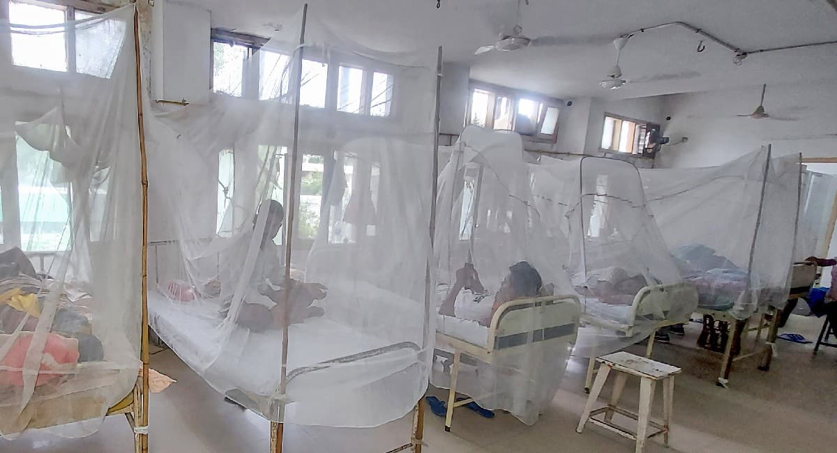 Dengue in Bihar: बिहार में बढ़ रहे डेंगू के मरीज, दो दिनों में मिले 20 और संक्रमित