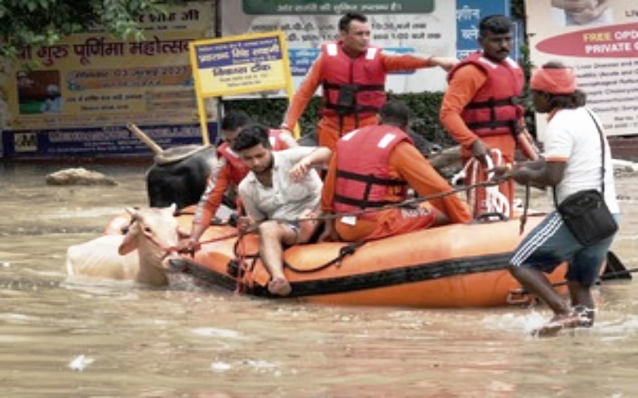दिल्ली और नोएडा में बाढ़ की स्थिति, फंसे हुए जानवरों को बचाने गैर सरकारी संगठन आए आगे