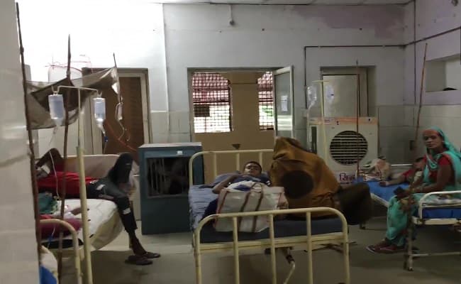मध्य प्रदेश: ग्वालियर में खतरनाक हुआ डेंगू का आतंक, अस्पतालों में बेड की कमी, अब तक सामने आए 1165 मामले