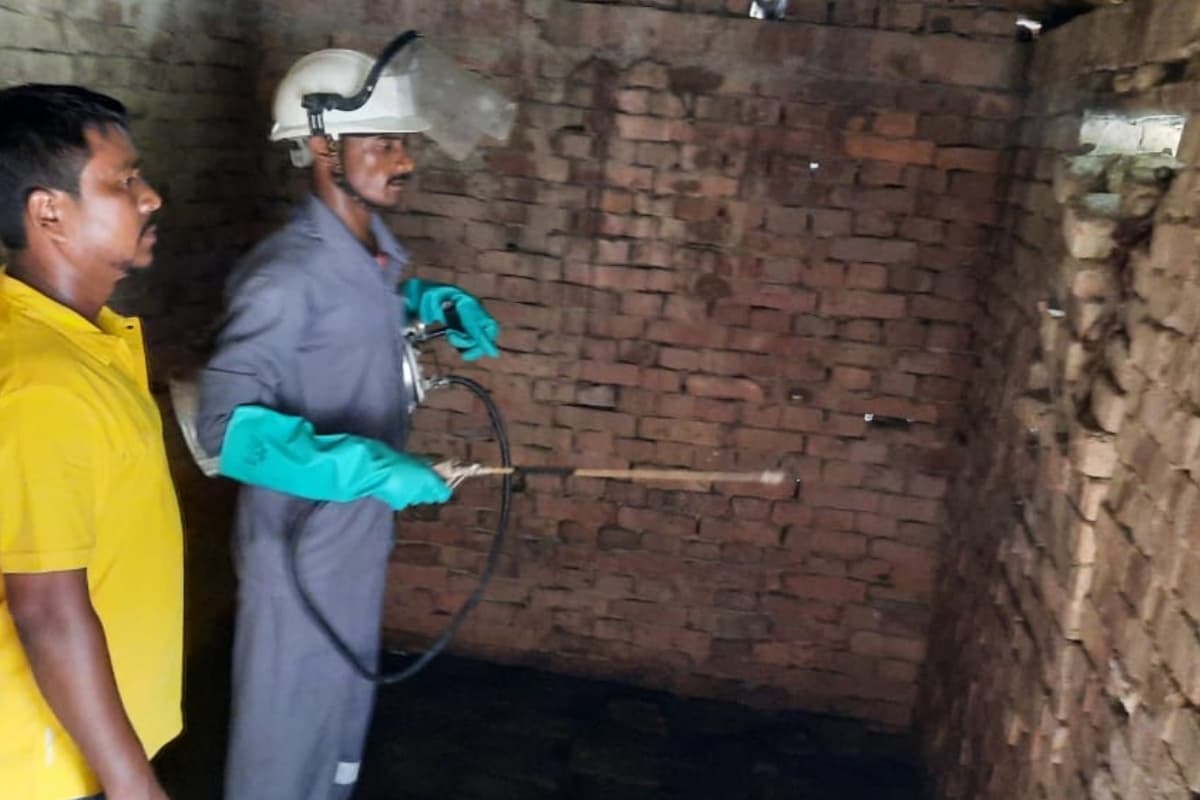 झारखंड: साहिबगंज में डेंगू के 78 मरीज, पश्चिम बंगाल व बिहार जाकर करा रहे इलाज, ऐसे करें बचाव