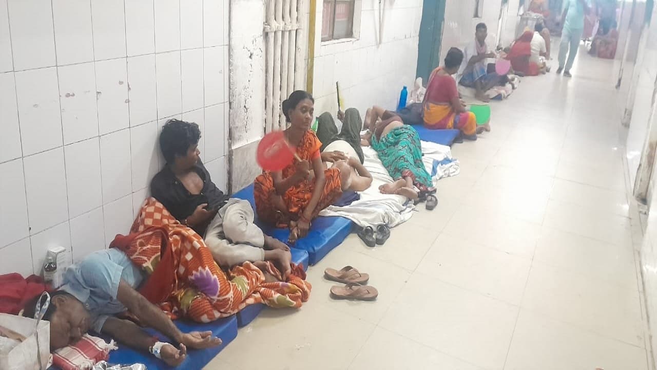 बिहार: भागलपुर में 5 दिनों के अंदर 225 से अधिक डेंगू संक्रमित मिले, दो डेंगू मरीजों की हो चुकी है मौत