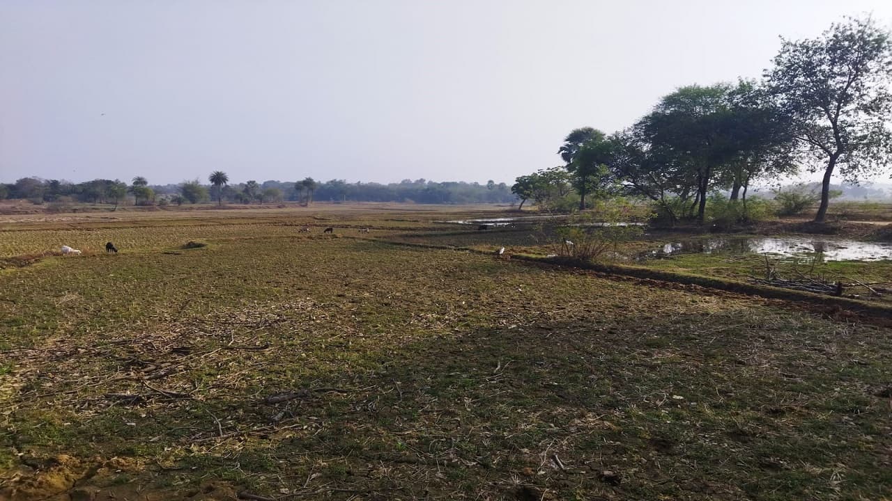 झारखंड का एक गांव, जहां 199 एकड़ में नहीं जलता चिराग, ढूंढे नहीं मिलेगा एक मकान, वजह जान चौंक जायेंगे आप