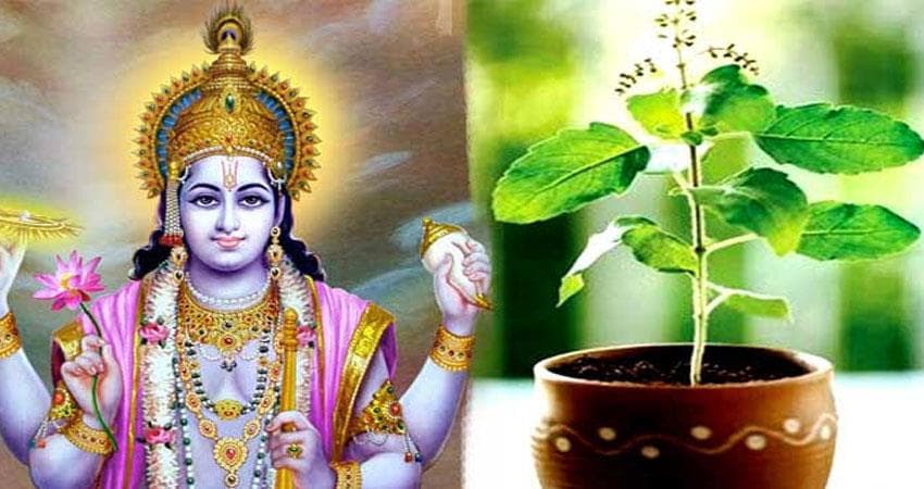 Dev Uthani Ekadashi and Tulsi Vivah 2020 : आज शाम को शालीग्राम के साथ तुलसी जी लेंगी सात फेरे, जानिए तुलसी विवाह का शुभ मुहूर्त और पूजा विधि…