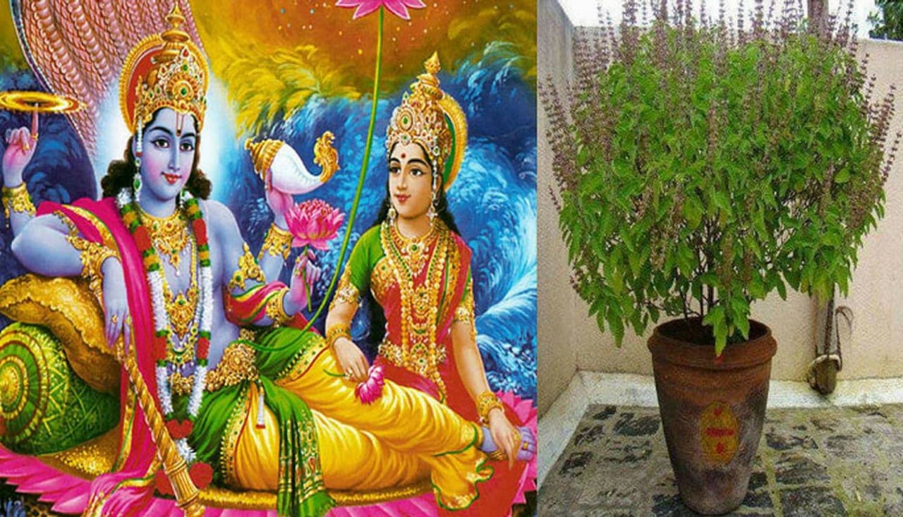 Dev Uthani Ekadashi and Tulsi Vivah 2020 : देवोत्थान एकादशी आज, भगवान विष्णु की पूजा-अर्चना के साथ शुभ मुहूर्त शुरू, आज से बजेगा बैंड बाजा