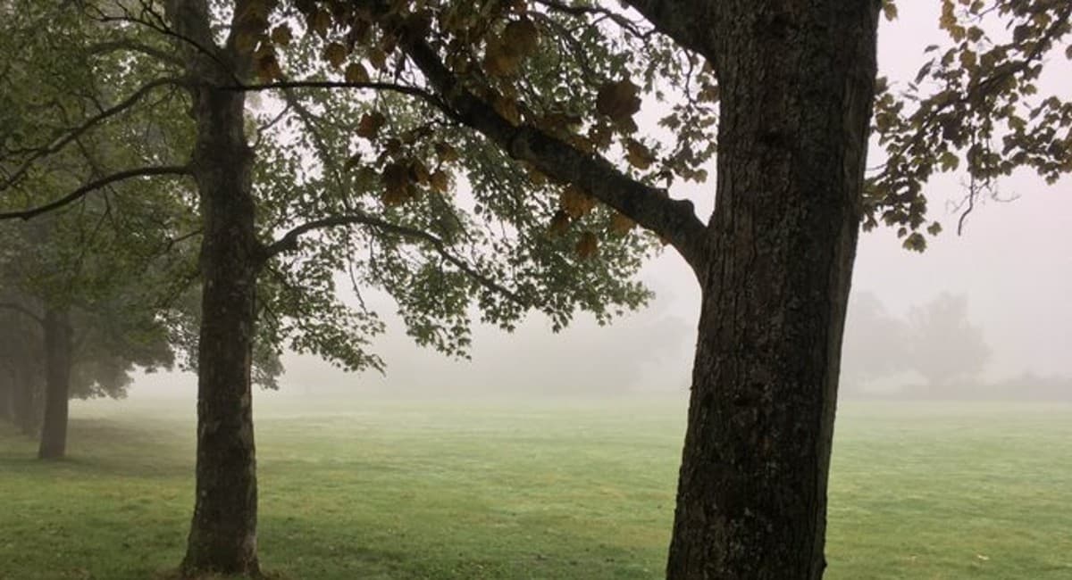 Weather Forecast : मानसून विदाई के साथ ही गुनगुनी ठंड ने मारी एंट्री, तापमान में आने लगी गिरावट, जानिए
