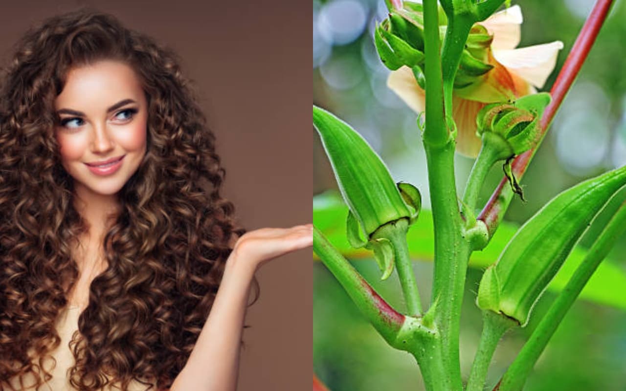 Beauty Tips : बालों को रेशमी और लंबा बनाती है भिंडी, जानिए इसके चौंकाने वाले फायदे