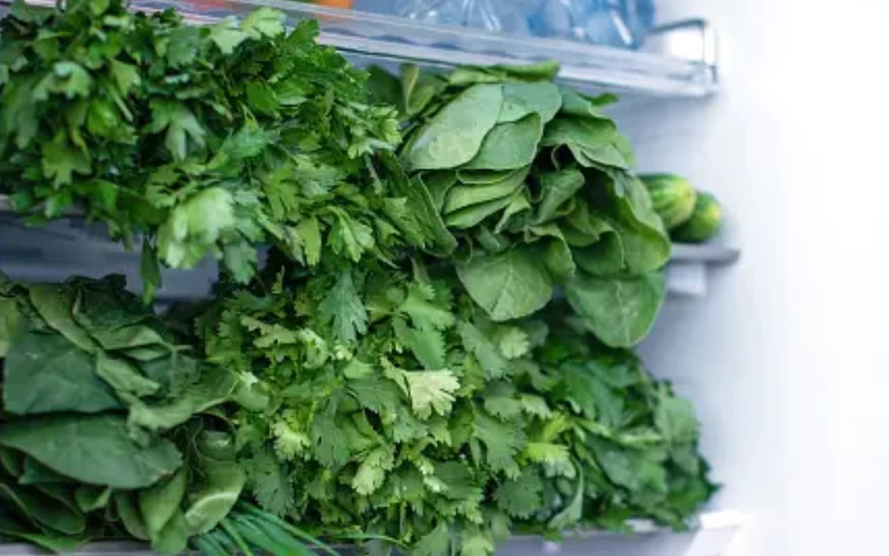 Dhania Ke Laddu Recipe: दिवाली पर बनाएं धनिया के लड्डू, सर्दी-जुकाम के लिए भी है फायदेमंद